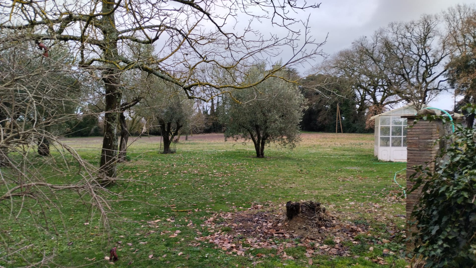 La Villa - Castel Giorgio